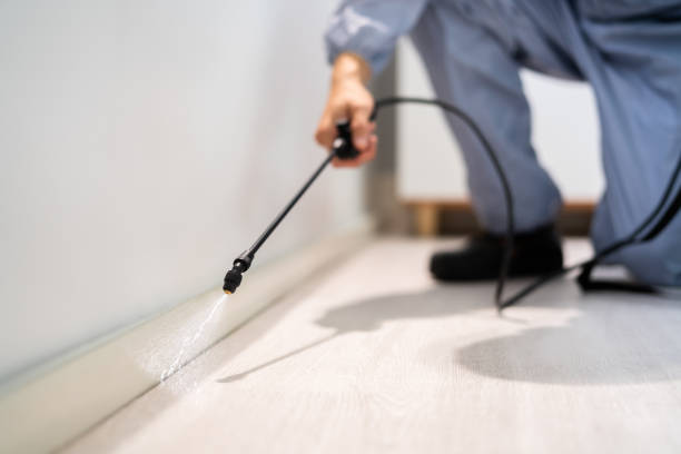 Certified termite inspector examining foundation in Ballston Spa
