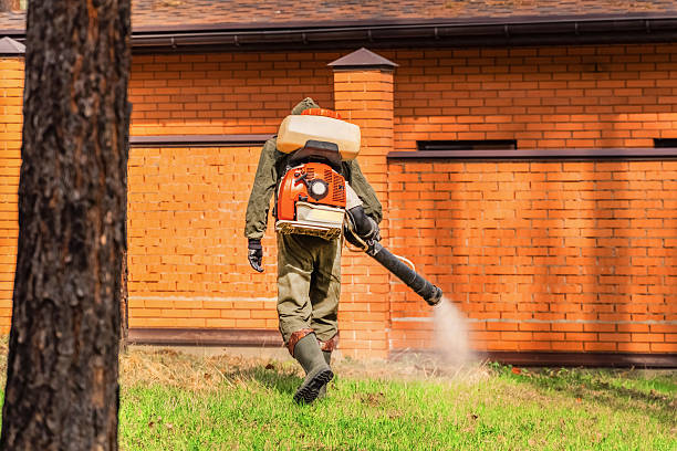 Top rated local Wasp Removal specialists in Ballston Spa, NY